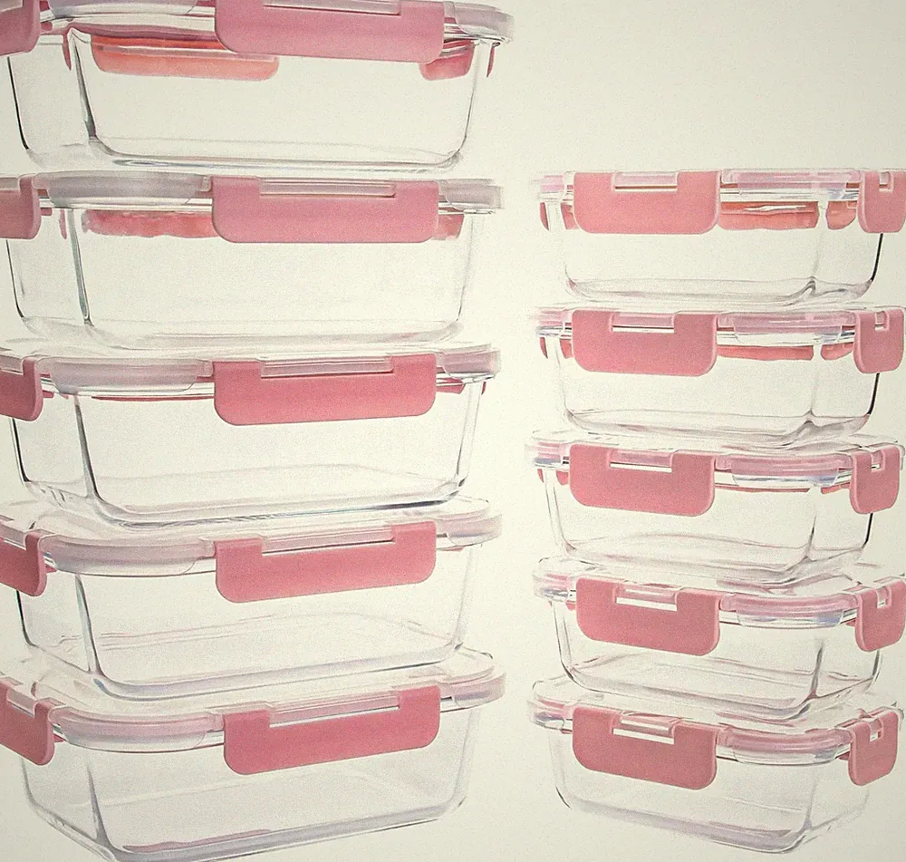 10 Pack Glass Food Storage Containers, Glass Meal Prep Containers with Lids Leak
