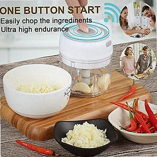 2 PCS 250 ML Electric Mini Garlic Chopper Meat Food Processor Mixer Portable USB