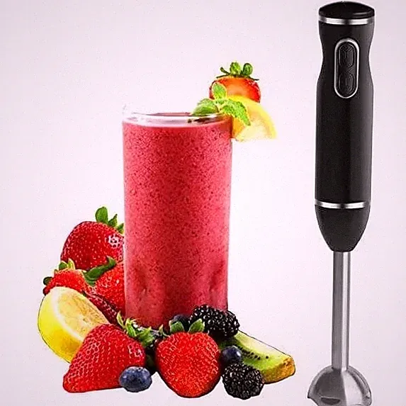 300W Hand Blender with Egg Whisk Stainless Steel Shaft Ergonomic Handle