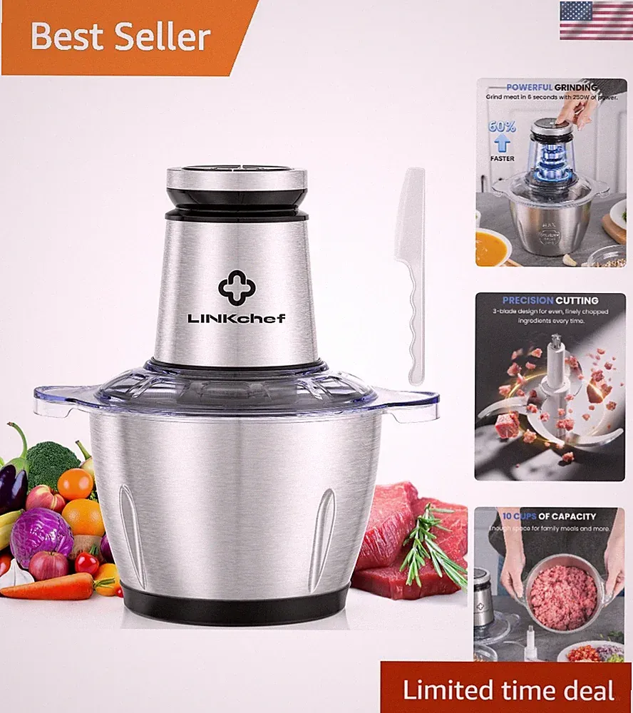 Efficient 10 Cup Food Processor with 2-Speed Control - Stainless Steel Blade