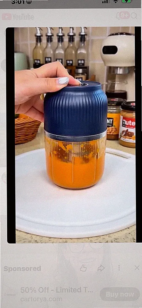 mini food chopper processor