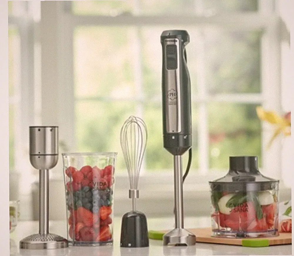Princess House Vida Sana Electrics 4-in-1 Immersion Blender (5594)