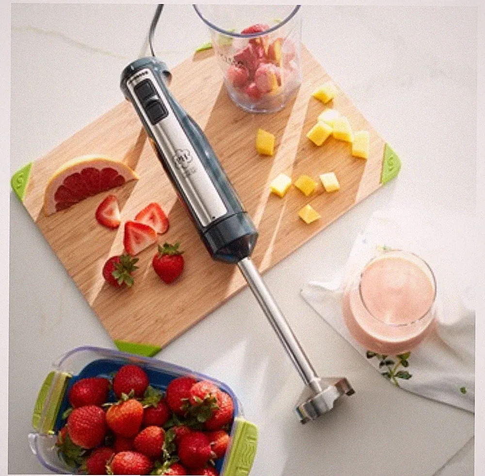 PRINCESS HOUSE VIDA SANA™ ELECTRICS 4-in-1 Immersion Blender 5594 NEW $209.95